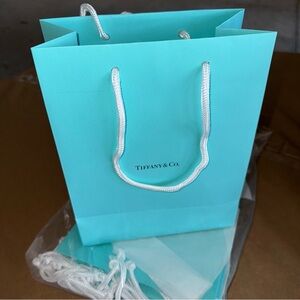Tiffany & Co. Tiffany Blue Gift Bag